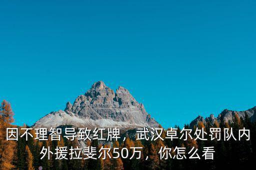 武漢卓爾橙白對抗怎么補(bǔ)見拉斐爾,武漢卓爾罰款拉斐爾50萬