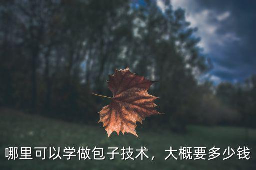 哪里可以學(xué)做包子技術(shù)，大概要多少錢