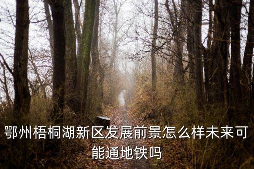 鄂州市未來(lái)發(fā)展怎么樣,未來(lái)可能通地鐵嗎