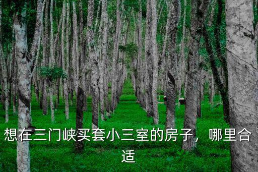 想在三門峽買套小三室的房子，哪里合適