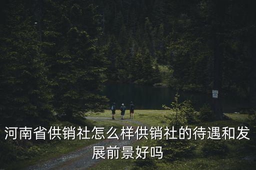河南省供銷社怎么樣供銷社的待遇和發(fā)展前景好嗎