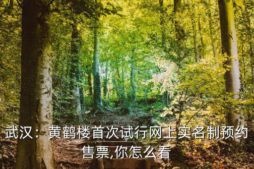 武漢：黃鶴樓首次試行網上實名制預約售票,你怎么看