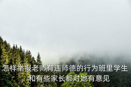 怎樣舉報老師有違師德的行為班里學生，和有些家長都對她有意見