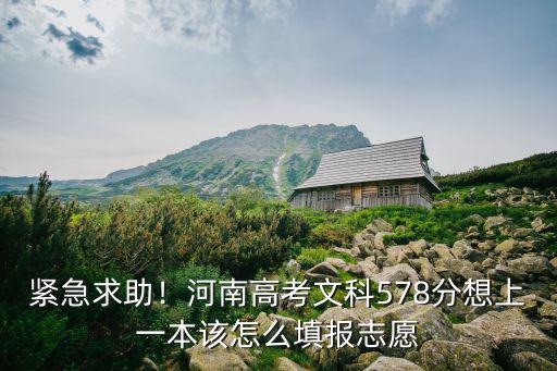 緊急求助！河南高考文科578分想上一本該怎么填報志愿