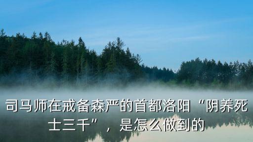 三國志保衛(wèi)洛陽轉(zhuǎn)職怎么轉(zhuǎn),三國志戰(zhàn)略版洛陽怎么守