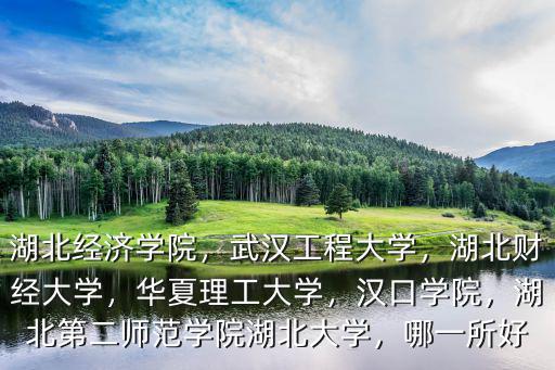 湖北經(jīng)濟學(xué)院，武漢工程大學(xué)，湖北財經(jīng)大學(xué)，華夏理工大學(xué)，漢口學(xué)院，湖北第二師范學(xué)院湖北大學(xué)，哪一所好