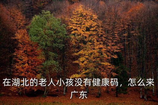 在湖北的老人小孩沒有健康碼，怎么來廣東