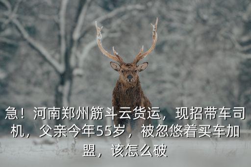 急！河南鄭州筋斗云貨運，現招帶車司機，父親今年55歲，被忽悠著買車加盟，該怎么破