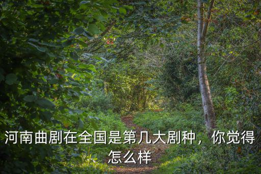 河南曲劇在全國是第幾大劇種，你覺得怎么樣