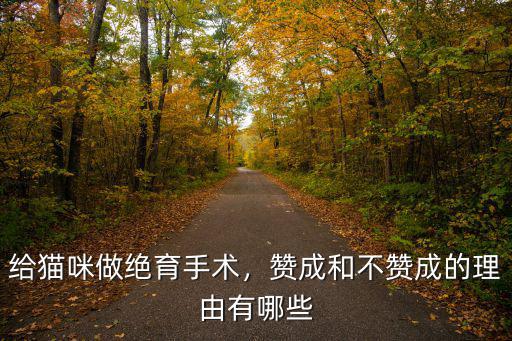 給貓咪做絕育手術，贊成和不贊成的理由有哪些
