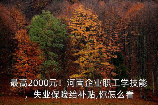 最高2000元！河南企業職工學技能，失業保險給補貼,你怎么看