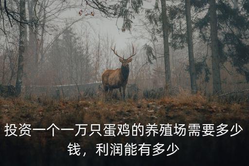 新鄉哪里有養蛋雞的,土蛋雞的養殖流程是怎樣的