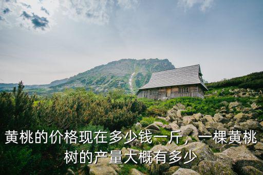 黃桃的價格現在多少錢一斤，一棵黃桃樹的產量大概有多少