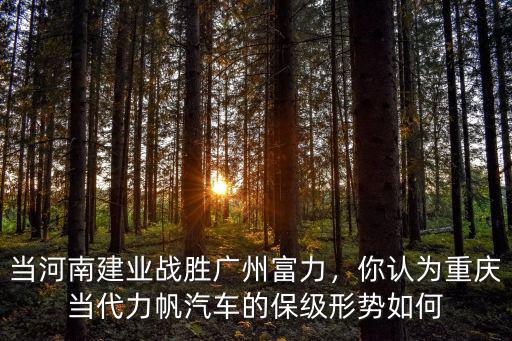 當河南建業(yè)戰(zhàn)勝廣州富力，你認為重慶當代力帆汽車的保級形勢如何