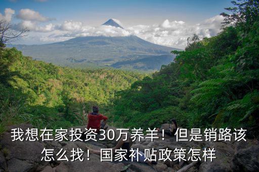 我想在家投資30萬養(yǎng)羊！但是銷路該怎么找！國家補(bǔ)貼政策怎樣