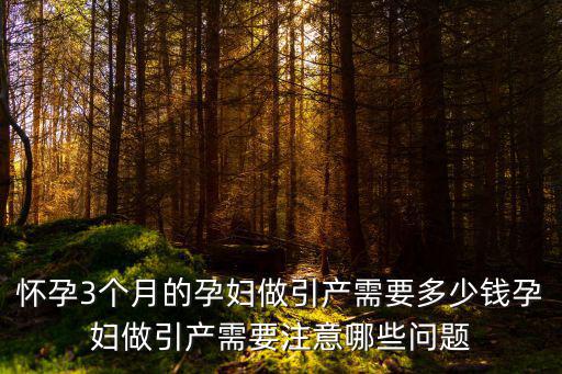 懷孕3個(gè)月的孕婦做引產(chǎn)需要多少錢孕婦做引產(chǎn)需要注意哪些問(wèn)題
