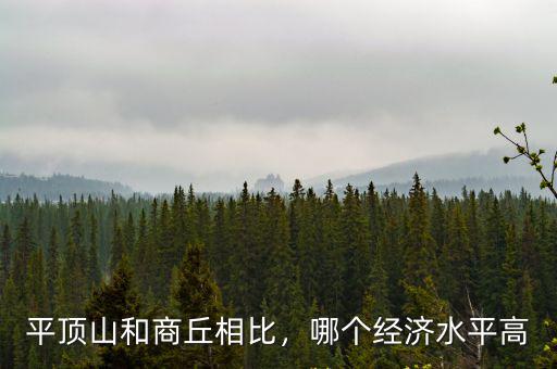 平頂山和商丘相比，哪個(gè)經(jīng)濟(jì)水平高