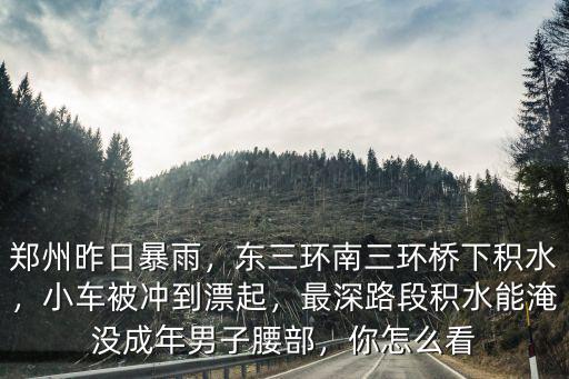 鄭州大暴雨各國怎么看,鄭州昨日暴雨