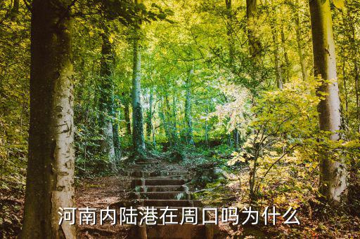 河南內(nèi)陸港在周口嗎為什么
