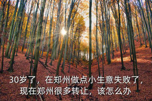 30歲了，在鄭州做點小生意失敗了，現在鄭州很多轉讓，該怎么辦