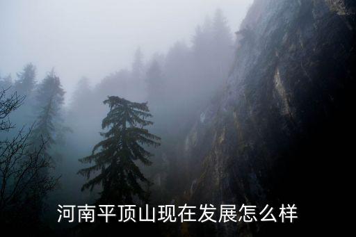 河南九豐集團現在怎么樣,河南平頂山現在發展怎么樣