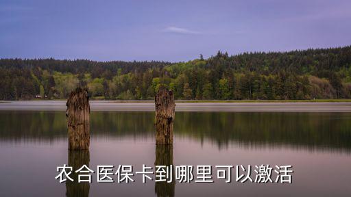 農合醫保卡到哪里可以激活
