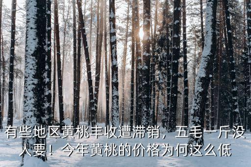 有些地區黃桃豐收遭滯銷，五毛一斤沒人要！今年黃桃的價格為何這么低
