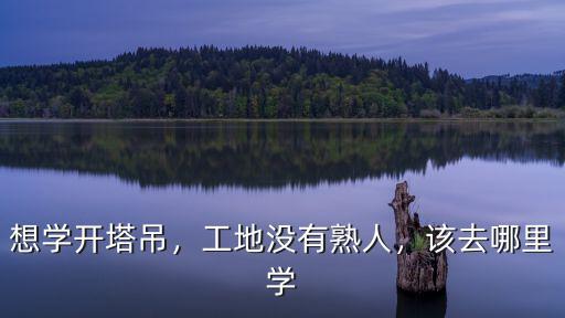濮陽學塔吊哪里學,哪里有學開塔吊的