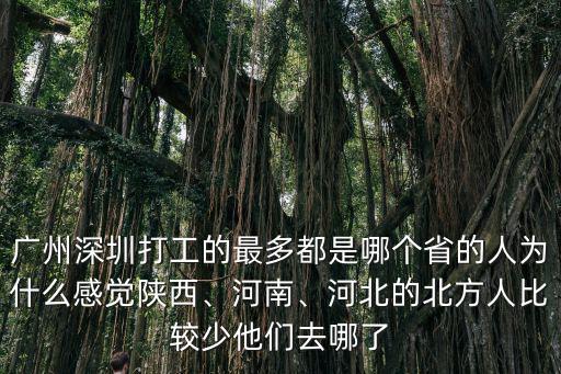 廣州深圳打工的最多都是哪個省的人為什么感覺陜西、河南、河北的北方人比較少他們?nèi)ツ牧? class=
