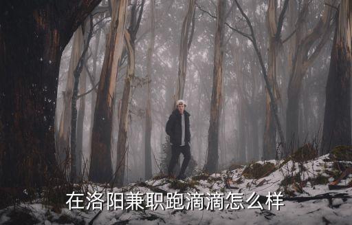 在洛陽兼職跑滴滴怎么樣