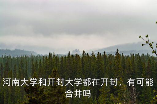 河南大學(xué)開封校區(qū)怎么辦,河南大學(xué)為何設(shè)在開封