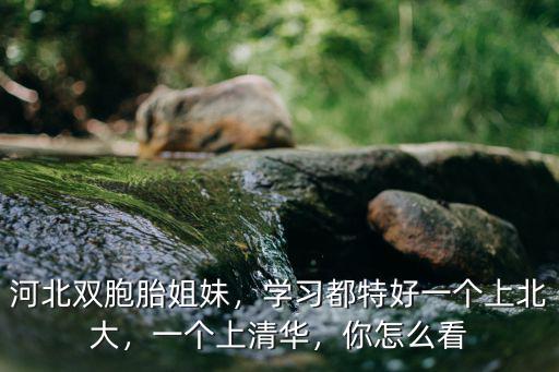 河北雙胞胎姐妹，學習都特好一個上北大，一個上清華，你怎么看