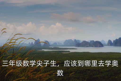 三年級數(shù)學(xué)尖子生，應(yīng)該到哪里去學(xué)奧數(shù)