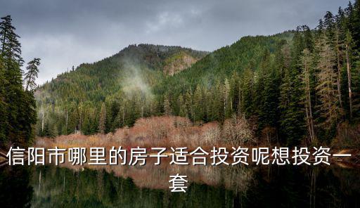信陽市哪里的房子適合投資呢想投資一套