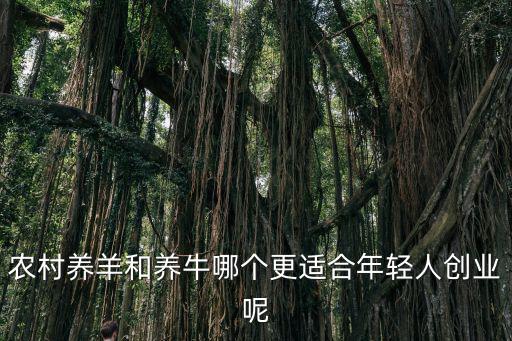 許昌哪里有養牛養羊,我弟準備回老家去養牛養羊