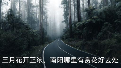 三月花開正濃，南陽(yáng)哪里有賞花好去處