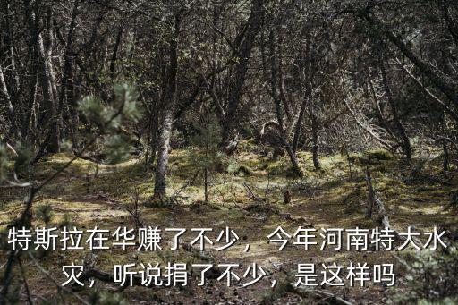 特斯拉在華賺了不少，今年河南特大水災，聽說捐了不少，是這樣嗎