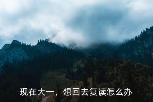 現(xiàn)在大一，想回去復(fù)讀怎么辦