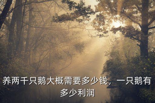 養(yǎng)兩千只鵝大概需要多少錢，一只鵝有多少利潤