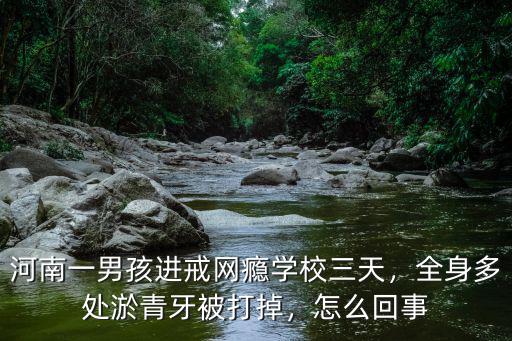 河南一男孩進戒網癮學校三天，全身多處淤青牙被打掉，怎么回事