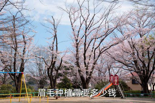 眉毛種植需要多少錢(qián)