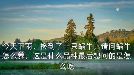 請問河南哪里有養蝸牛,請問蝸牛怎么養