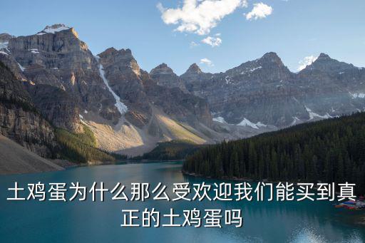 土雞蛋為什么那么受歡迎我們能買(mǎi)到真正的土雞蛋嗎