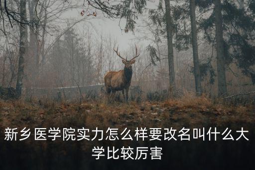 新鄉醫學院實力怎么樣要改名叫什么大學比較厲害