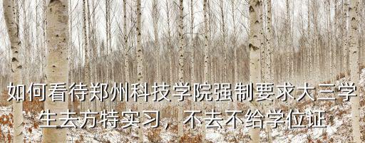 如何看待鄭州科技學院強制要求大三學生去方特實習，不去不給學位證