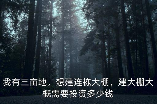 開封建造溫室連棟大棚多少錢,建大棚大概需要投資多少錢