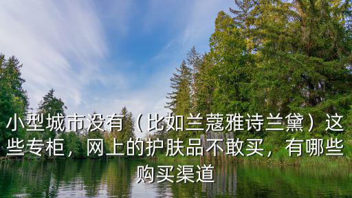 小型城市沒有（比如蘭蔻雅詩蘭黛）這些專柜，網上的護膚品不敢買，有哪些購買渠道
