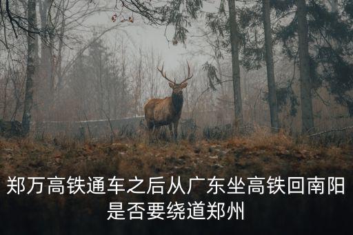 鄭萬高鐵通車之后從廣東坐高鐵回南陽是否要繞道鄭州