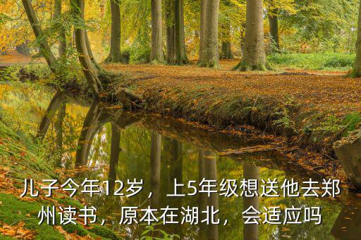 兒子今年12歲，上5年級想送他去鄭州讀書，原本在湖北，會(huì)適應(yīng)嗎