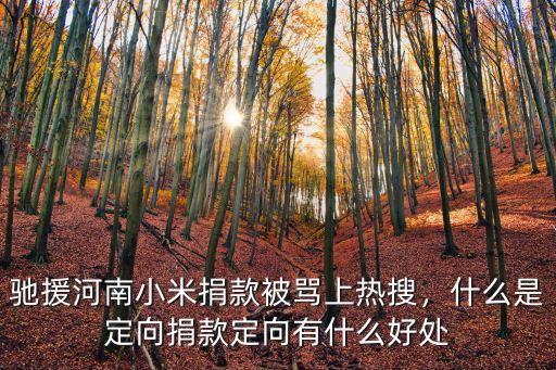 馳援河南小米捐款被罵上熱搜，什么是定向捐款定向有什么好處